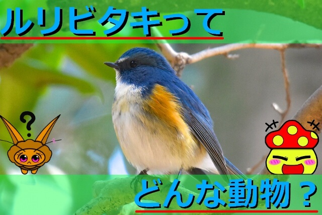 Thumbnail of post image 083